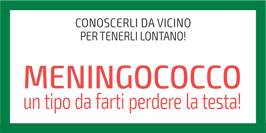 meningococco