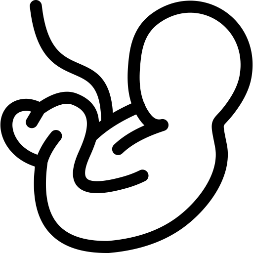 Terzo Trimestre